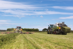 eal-group-contractors-baling-cartage-raking-mowing-wrapping-36