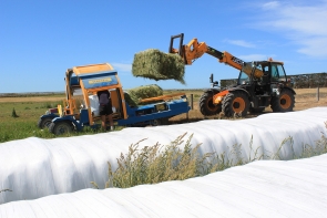 eal-group-contractors-baling-cartage-raking-mowing-wrapping-53