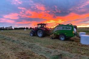 McHale Sunset Jack C