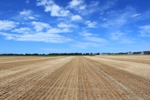 eal-group-contractors-cultivation-drilling-6